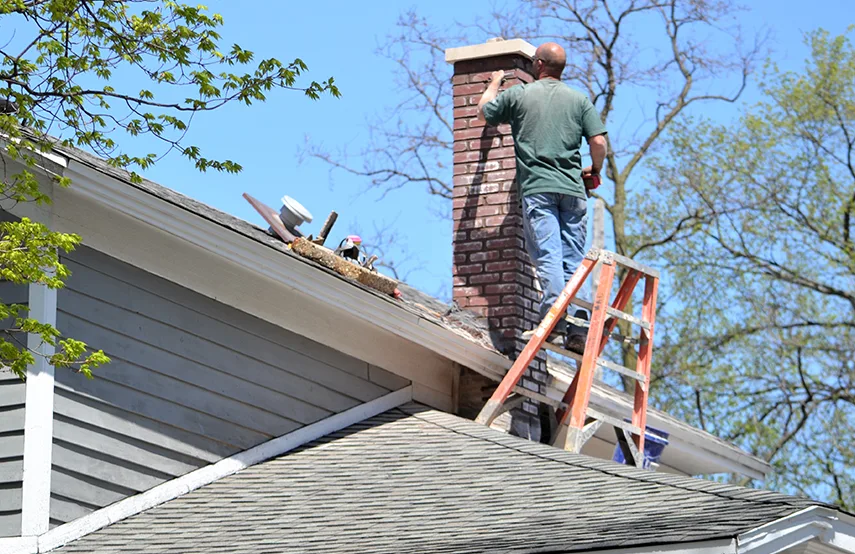 Chimney & Fireplace Inspections Services in Arden-Arcade, CA